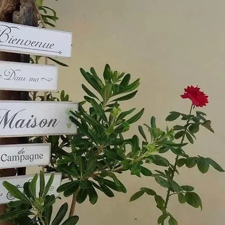 Effi Apartment